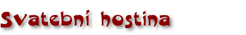 Svatebn� hostina